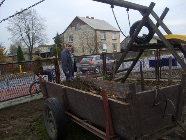 Akcja - posadź drzewko